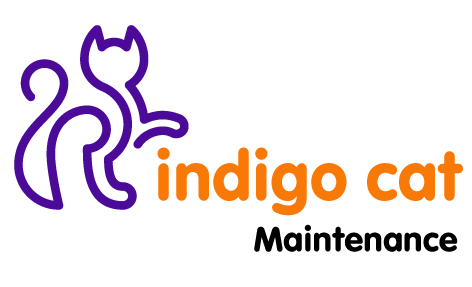 Indigo Cat